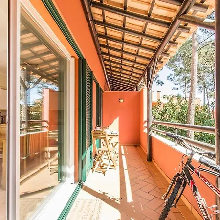 Anibal Aroeira (Setubal)